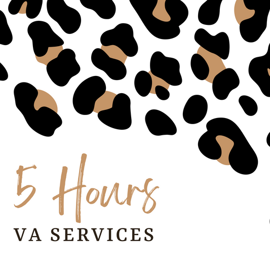 5 Hours of VA Services