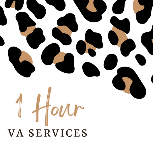 1 Hour of VA Services